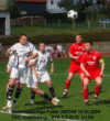 thm_Vogelsberg - SVS 10.5.08 05.gif